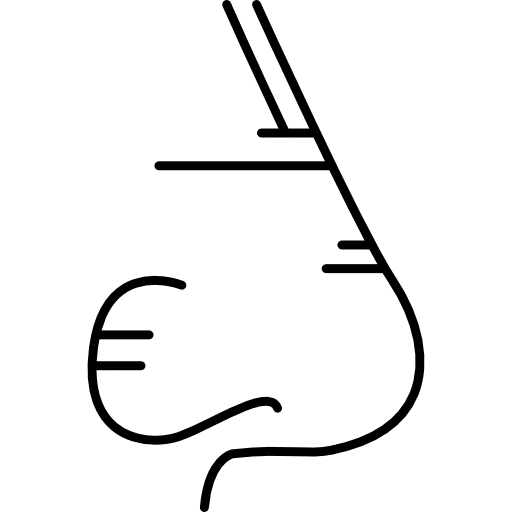 vue-laterale-du-nez